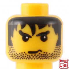 ǰ̹