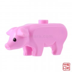 ǰ 