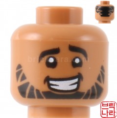 ǰ̹