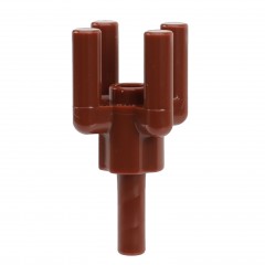 ��ǰ ������